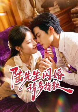 陆先生闪婚请多指教(全集)